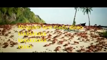 Olha essas coisas gostosas dançando