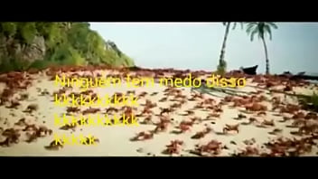 Olha essas coisas gostosas dançando