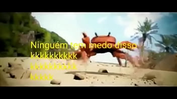 Olha essas coisas gostosas dançando