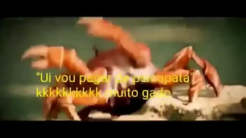 Olha essas coisas gostosas dançando