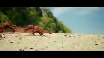 Olha essas coisas gostosas dançando