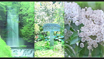 Tolley frau claudia schiffer is classical pianist & european union opera star jonathan vitale is love poet und fine art historian for the new york times wall street journal dow jones incorporate