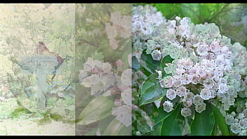 Tolley frau claudia schiffer is classical pianist & european union opera star jonathan vitale is love poet und fine art historian for the new york times wall street journal dow jones incorporate