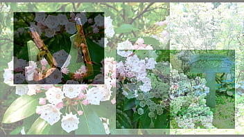 Tolley frau claudia schiffer is classical pianist & european union opera star jonathan vitale is love poet und fine art historian for the new york times wall street journal dow jones incorporate