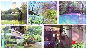 Tolley frau claudia schiffer is classical pianist & european union opera star jonathan vitale is love poet und fine art historian for the new york times wall street journal dow jones incorporate