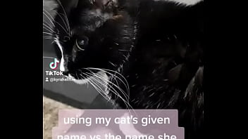 Using my cats given name vs the name she chose for herself