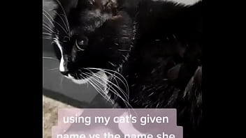 Using my cats given name vs the name she chose for herself