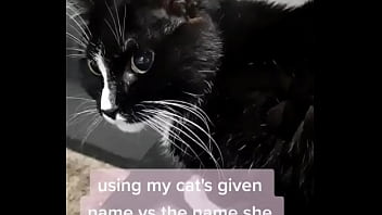 Using my cats given name vs the name she chose for herself
