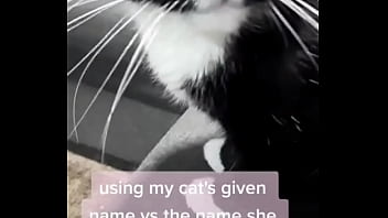 Using my cats given name vs the name she chose for herself
