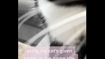 Using my cats given name vs the name she chose for herself
