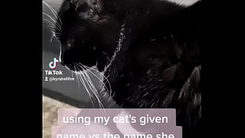 Using my cats given name vs the name she chose for herself