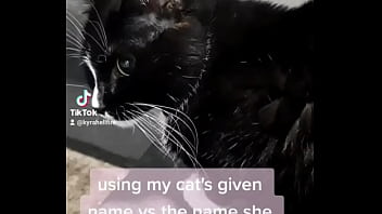 Using my cats given name vs the name she chose for herself