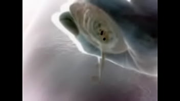 Video 2015 02 08 19 26 09