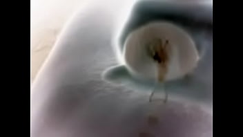 Video 2015 02 08 19 26 09