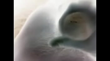 Video 2015 02 08 19 26 09