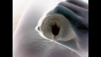 Video 2015 02 08 19 26 09