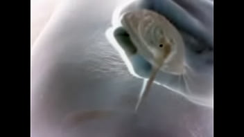 Video 2015 02 08 19 26 09