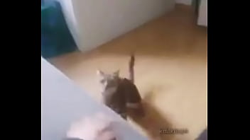 Me encuentro con colegiala y terminamos en motel