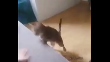 Me encuentro con colegiala y terminamos en motel