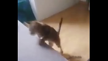 Me Encuentro Con Colegiala Y Terminamos En Motel thumbnail