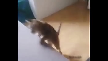 Me encuentro con colegiala y terminamos en motel