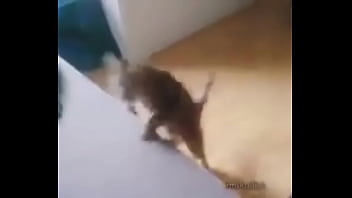 Me encuentro con colegiala y terminamos en motel