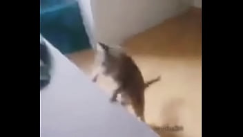 Me encuentro con colegiala y terminamos en motel