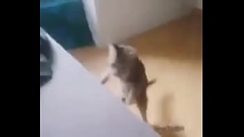 Me encuentro con colegiala y terminamos en motel Me encuentro con colegiala y terminamos en motel