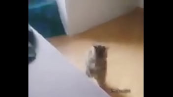 Me encuentro con colegiala y terminamos en motel