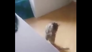 Me Encuentro Con Colegiala Y Terminamos En Motel thumbnail