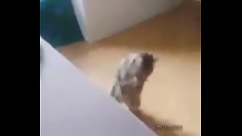 Me Encuentro Con Colegiala Y Terminamos En Motel thumbnail