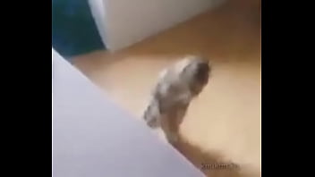 Me encuentro con colegiala y terminamos en motel