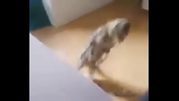 Me encuentro con colegiala y terminamos en motel