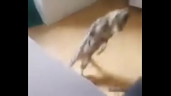 Me encuentro con colegiala y terminamos en motel