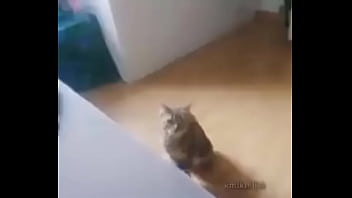 Me encuentro con colegiala y terminamos en motel