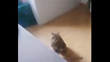 Me encuentro con colegiala y terminamos en motel