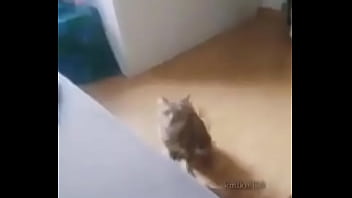 Me encuentro con colegiala y terminamos en motel