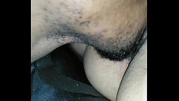 King Puma Eating Puma thumbnail