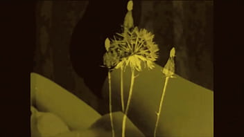 Retro erotic drawings