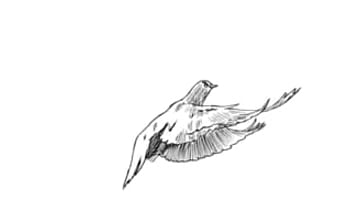 Waittermasterbatingservicingmasterbating