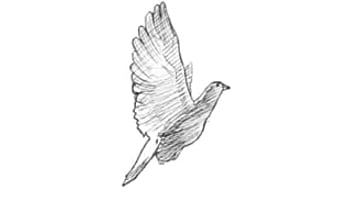 Waittermasterbatingservicingmasterbating