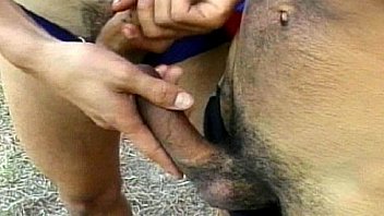 Clydesdale asstrative scene 1