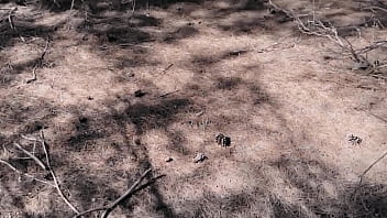 Casi me atrapan follando en un parque publico con el hombre gordo que vigila me pone a cuatro patas y me da bien rico como me gusta Casi me atrapan follando en un parque publico con el hombre gordo que vigila me pone a cuatro patas y me da bien rico como me gusta