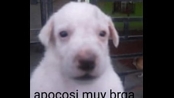 Putita Siendo Humillada thumbnail