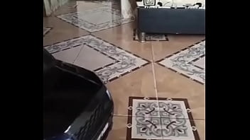 Vídeo de verificación