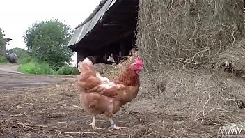 Sauerei im schweinestall elke stellt sich vor spermator