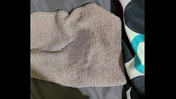 Having trans bi thoughts