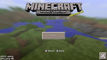 Un recopilatorio de versiones desconocidas de minecraft