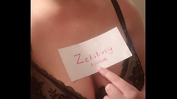 Verification video