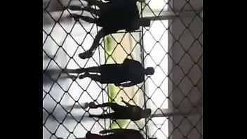 Gordinho Delas thumbnail